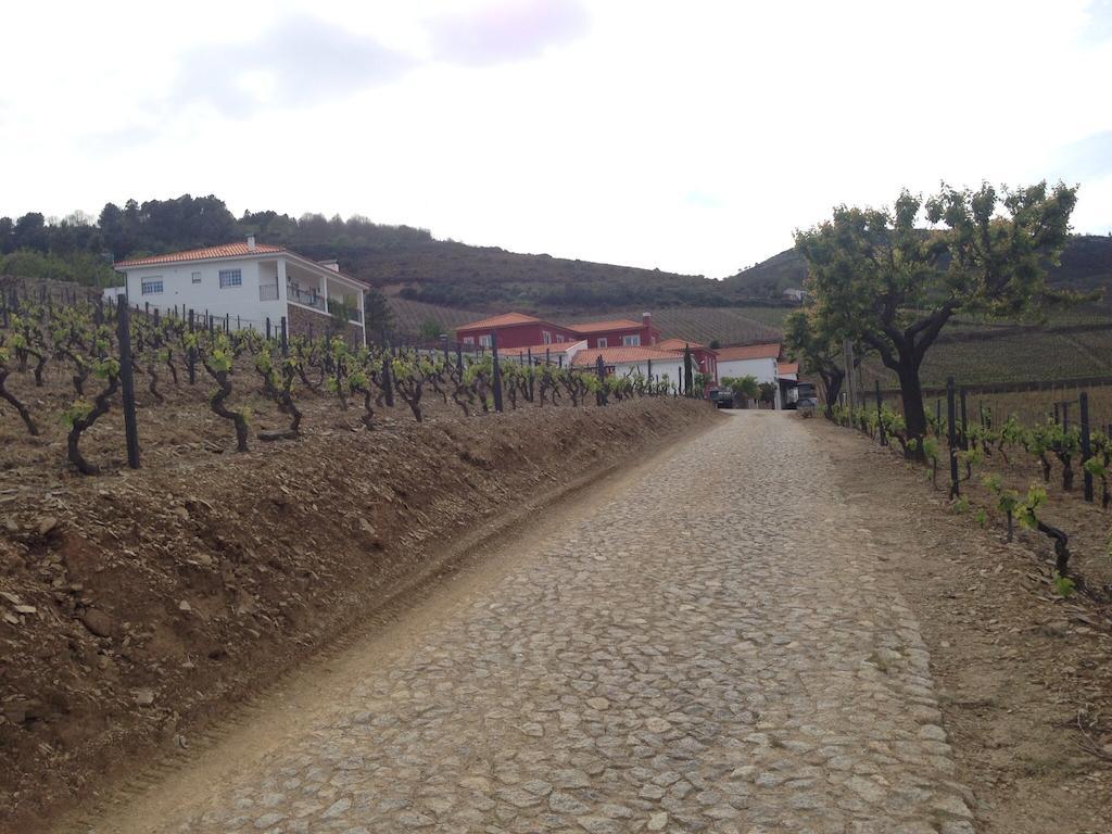 Quinta Dos Espinheiros Villa Provesende Rom bilde