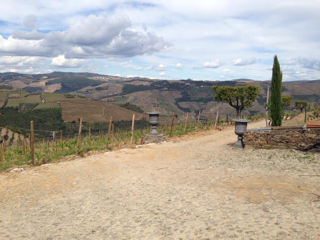 Quinta Dos Espinheiros Villa Provesende Rom bilde