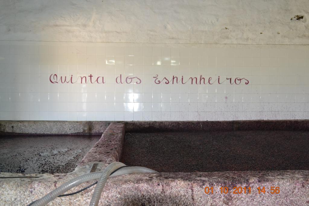 Quinta Dos Espinheiros Villa Provesende Eksteriør bilde