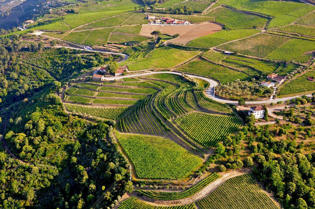 Quinta Dos Espinheiros Villa Provesende Eksteriør bilde