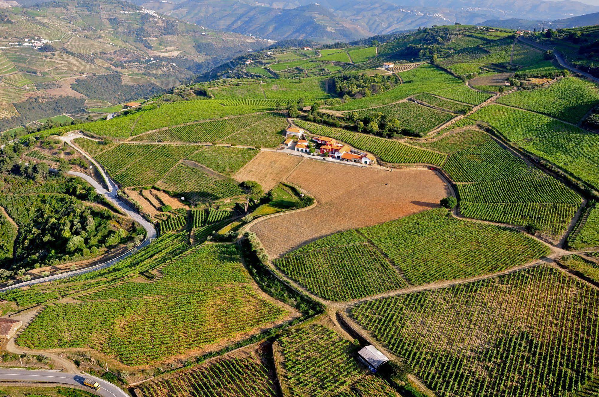 Quinta Dos Espinheiros Villa Provesende Eksteriør bilde