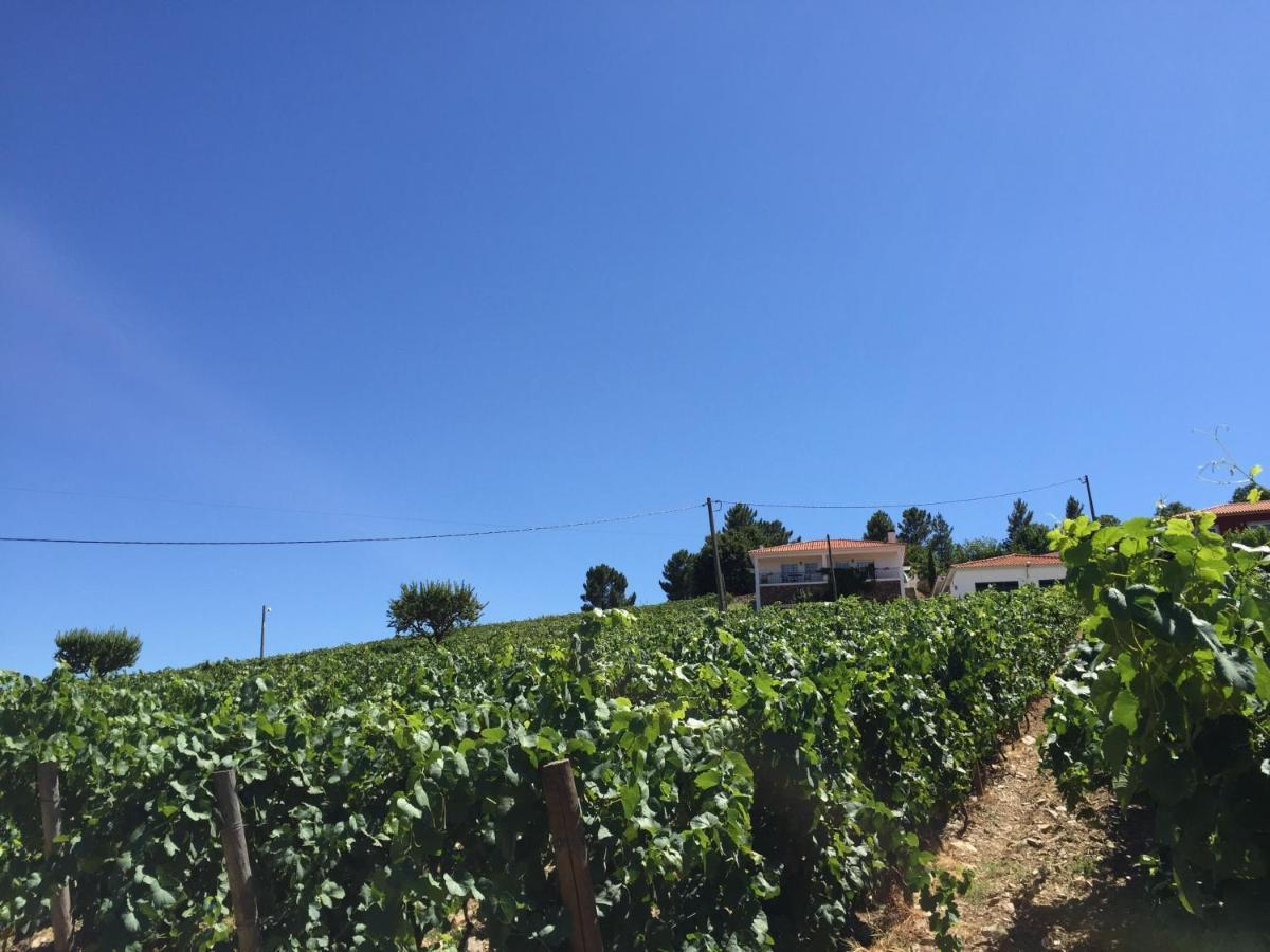 Quinta Dos Espinheiros Villa Provesende Rom bilde