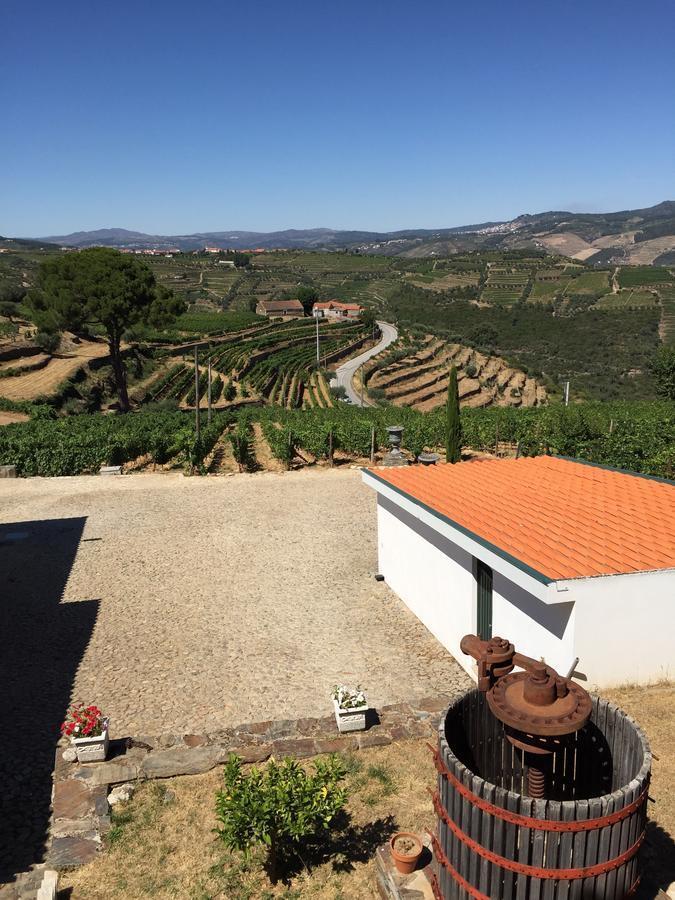 Quinta Dos Espinheiros Villa Provesende Rom bilde